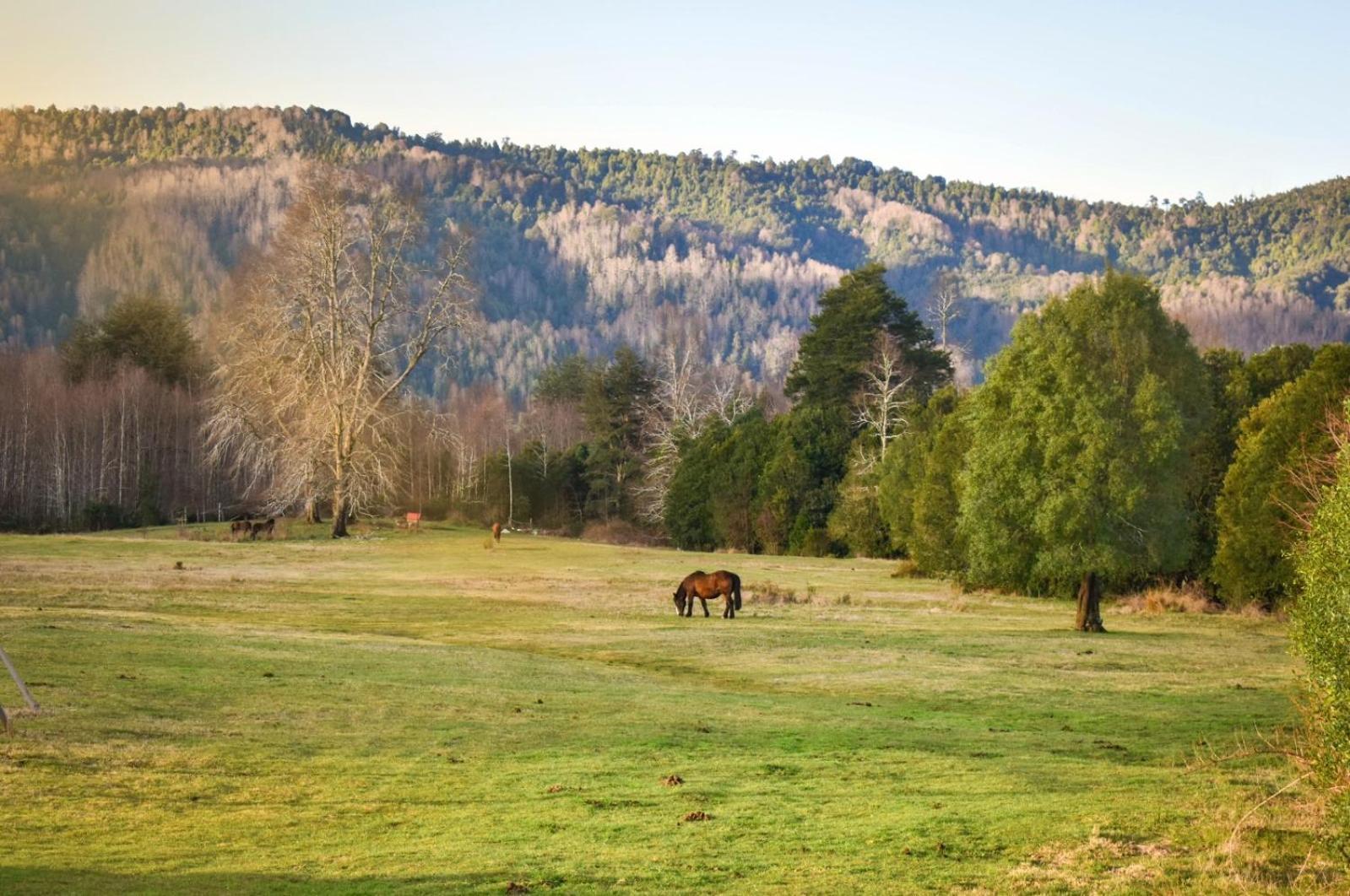 Parques De Afunalhue Villa ลิกันไรย์ ภายนอก รูปภาพ